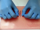 Suture Patch II (Transparent)