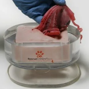 K9 Ovariohysterectomy (Spay) Replacements (5)