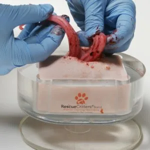 K9 Ovariohysterectomy (Spay) Replacements (10)