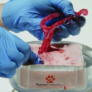 K9 Ovariohysterectomy (Spay) Replacements (100)