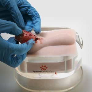 K9 Orchiectomy (Neuter) Replacements (100)