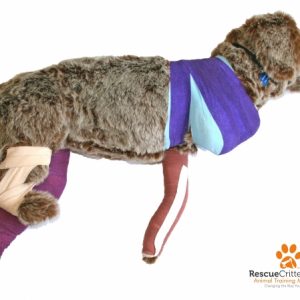 NEW & IMPROVED!!! Rufus Bandaging Mannikin