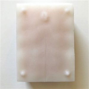 Feline Ovariohysterectomy (Spay) Model Bulk (30 units)