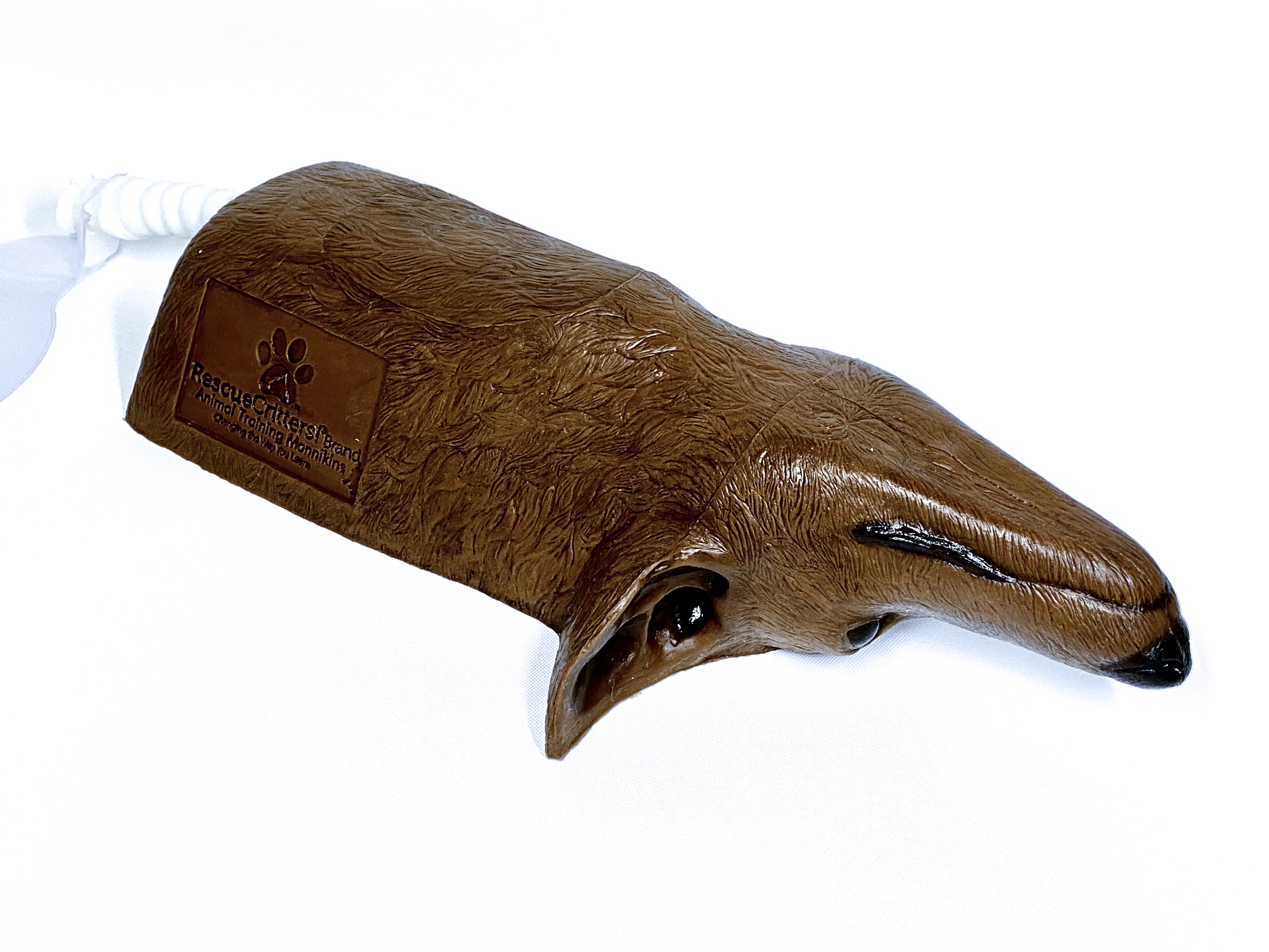 Louie K9 Tracheostomy Model