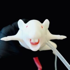 Mimolette (mee-moh-let) Lab Rat